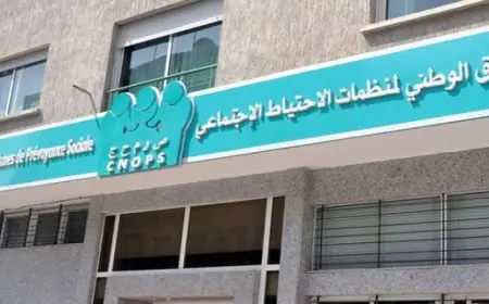 مشروع قانون بموجبه ستتحول كنوبس إلى الضمان الاجتماعي