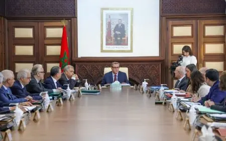 مجلس الحكومة يعتمد تعيينات جديدة في مناصب المسؤولية بمختلف الوزارات