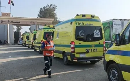 مرض غامض يثير القلق في مصر ويستنفر السلطات الصحية المصرية