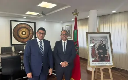 بنسعيد يناقش محاربة "المحتويات المخالفة للقوانين" على تيك توك مع مسؤول في المنصة