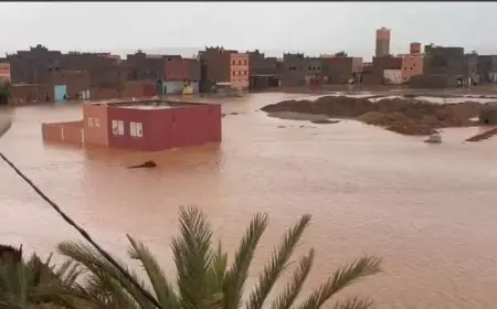 الحكومة تطلق برنامج إعادة تأهيل المناطق المتضررة من الفيضانات في الجنوب الشرقي
