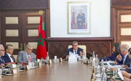 مجلس الحكومة يناقش مشروع قانون تنظيم مهنة المفوضين القضائيين