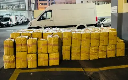 إحباط محاولة تهريب 730 كيلوغراما من مخدر الشيرا بميناء طنجة المتوسط