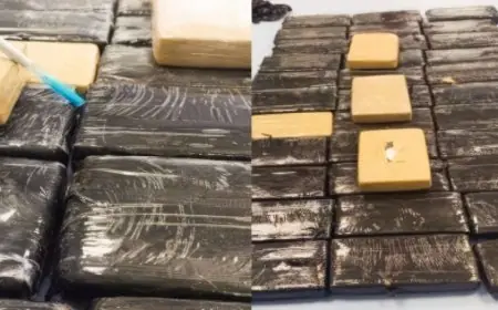 إحباط تهريب 37 كيلوغرام من الكوكايين في معبر الكركرات