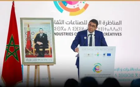 بنسعيد يدعو لتعزيز الصناعات الثقافية والإبداعية بالمغرب