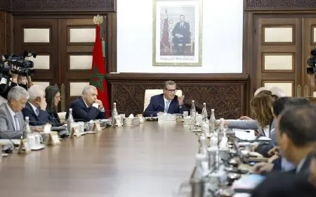 عزيز أخنوش يترأس اجتماع لتسريع إعادة بناء المناطق المتضررة من زلزال الحوز