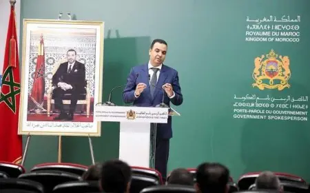 بايتاس:لم يتم تسجيل أي إصابة في صفوف الجالية المغربية في لبنان (فيديو)