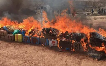 حرق أكثر من 8 أطنان من الشيرا ومواد مخدرة أخرى بآسفي
