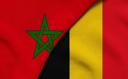بلجيكا تجدد التزامها بالشراكة مع المغرب