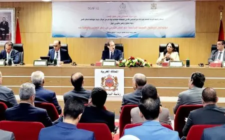 الداكي: تعزيز حقوق الإنسان ومكافحة التعذيب كأولوية في السياسة الجنائية المغربية
