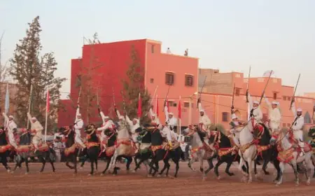 موسم سيدي المختار: تراث غني وفرصة لتنمية المنطقة