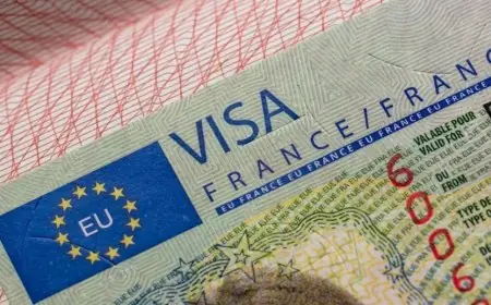 فرنسا تخفض عدد تأشيرات شنغن لمواطني الدول المغاربية بنسبة تصل إلى 50%