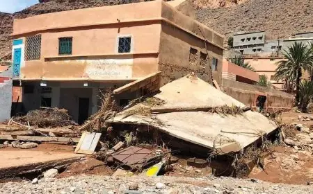 بركة: انطلاق صفقات لإعادة تأهيل 71 مقطعا طرقيا و69 منشأة فنية لمواجهة آثار الفيضانات