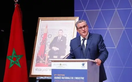 أخنوش: المغرب أصبح رائدا في صناعة السيارات بإنتاج أكثر من 570 ألف سيارة في 2023