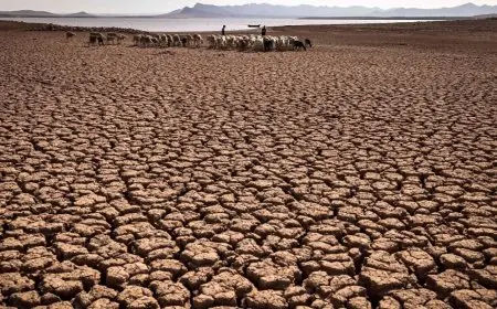 الأرصاد الجوية: 2023 سنة قياسية من الحرارة والجفاف بالمغرب