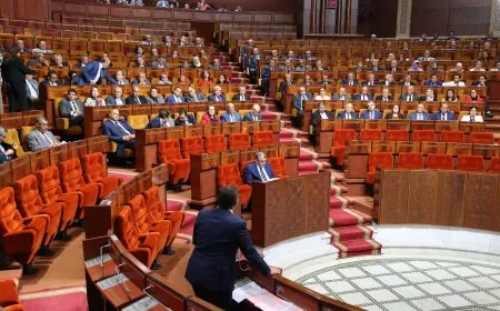 جلسة عمومية مشتركة للبرلمان لتقديم مشروع قانون المالية 2025