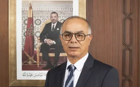 الملك محمد السادس يستقبل شكيب بنموسى ويعينه مندوبا ساميا للتخطيط
