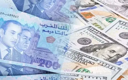 تحسن سعر صرف الدرهم بنسبة 0.3% مقابل اليورو