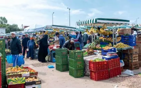 ارتفاع الرقم الاستدلالي للأثمان عند الاستهلاك في شتنبر 2024 بنسبة 0,8%
