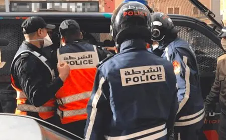 ترويج المخدرات يقود مواطن فرنسي من أصول غينية إلى الإيقاف بمطار الدار البيضاء