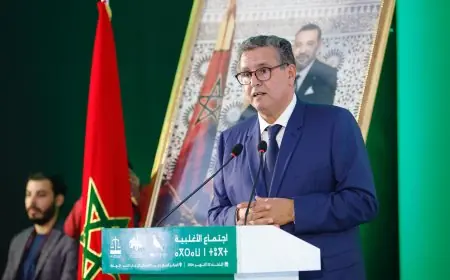 أخنوش يشيد بتماسك الأغلبية ويؤكد على مواصلة الإصلاحات الحكومية