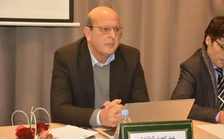 من هو عبد الجبار الرشيدي كاتب الدولة المكلف بالإدماج الاجتماعي؟