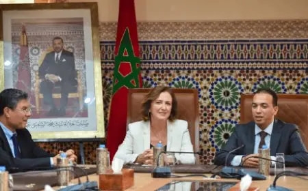 تنصيب لحسن السعدي، كاتب الدولة المكلف بالصناعة التقليدية والاقتصاد الاجتماعي والتضامني
