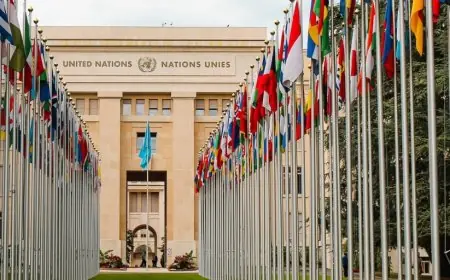 إعادة انتخاب المغرب في اللجنة الفرعية لمنع التعذيب خلال فترة 2025-2028