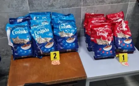 إحباط محاولة تهريب 209 ألف قرص مهلوس "إكستازي" بميناء طنجة المتوسط