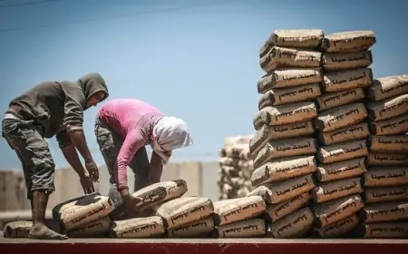 زيادة مبيعات الإسمنت بنسبة 6.9% خلال الأشهر التسعة الأولى من 2024