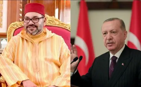 الملك محمد السادس لأردوغان: أؤكّد حرصي على مواصلة التعاون بين المغرب وتركيا