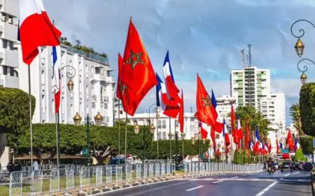 فرنسا تعلن فتح قنصلية في الأقاليم الجنوبية للمغرب