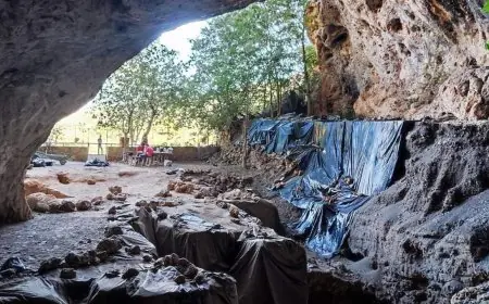 اكتشاف أقدم استعمال "طبي" للأعشاب في مغارة الحمام بتافوغالت تعود إلى 15 ألف سنة