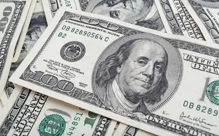 إرتفاع قيمة الدولار الأمريكي و عملة بيتكوين بعد فوز ترامب بالانتخابات الأمريكية