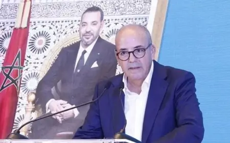 البواري: ميزانية الاستثمار في قطاعات الفلاحة والتنمية القروية والمياه والغابات والصيد البحري تبلغ 17.27 مليار درهم