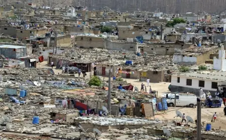 مكافحة السكن غير اللائق.. المنصوري تؤكد استفادة أكثر من 16 ألف أسرة سنويا من تحسين ظروف السكن