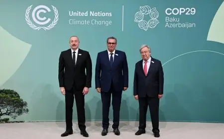 عزيز أخنوش يلتقي رئيس جمهورية أذربيجان في افتتاح COP29 في باكو