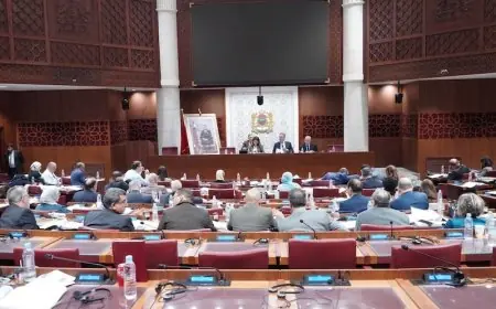 الحكومة تقبل 46 تعديلا "فقط" على مشروع قانون المالية لسنة 2025