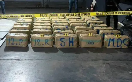 عناصر الدرك الملكي تحبط عملية تهريب مخدر الشيرا بإملشيل