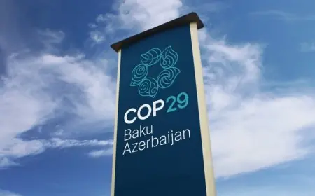 المغرب يوقع برنامج تعاون طاقي مع الوكالة الدولية للطاقة في COP29