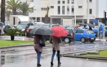 نشرة انذارية .. زخات مطرية وثلوج بهذه المناطق