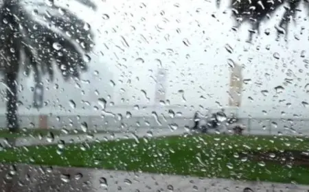 نشرة انذارية.. أمطار و رياح قوية بعدد من مناطق المملكة