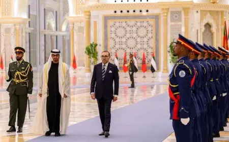 رئيس الإمارات يهنئ الملك محمد السادس بمناسبة عيد الاستقلال