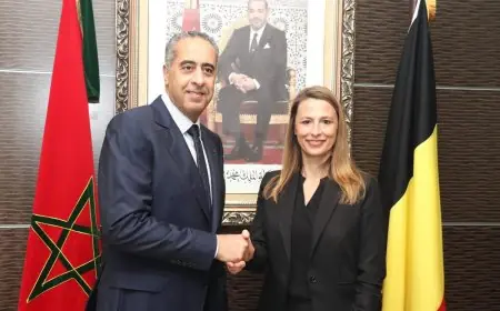 عبد اللطيف حموشي يستقبل نظيرته البلجيكية لتعزيز الشراكة الأمنية الثنائية