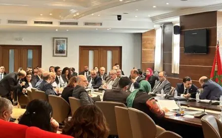 وزير الفلاحة يؤكد انخفاض أسعار اللحوم في الأيام المقبلة