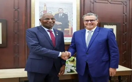 أخنوش يتباحث مع الوزير الأول الغيني سبل تعزيز التعاون الاقتصادي والاجتماعي