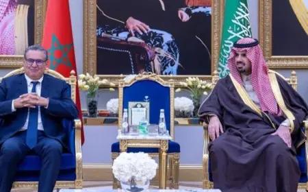 أخنوش يمثل الملك محمد السادس في قمة "المياه الواحدة" في الرياض