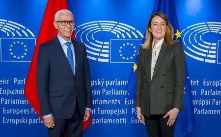 الطالبي العلمي وميتسولا يتفقان على خارطة طريق لإعادة إحياء العلاقات بين البرلمانين المغربي والأوروبي