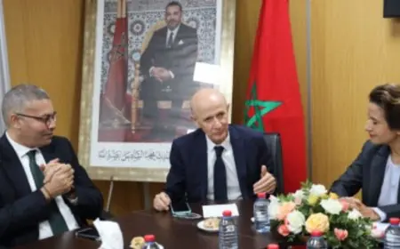 تنصيب زهير الشرفي رئيسا جديدا للهيئة الوطنية لضبط الكهرباء