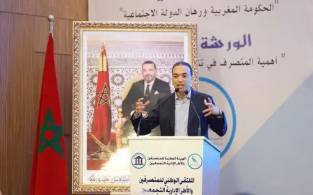 لحسن السعدي يبرز نجاح الحكومة في تفعيل الأوراش الملكية وتنزيل البرنامج الحكومي